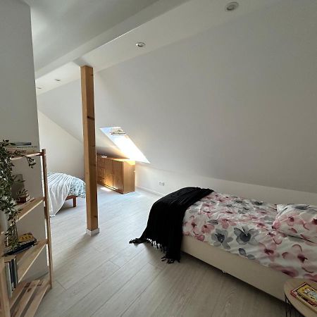 Gite Ma Maison Kintzheim Bagian luar foto