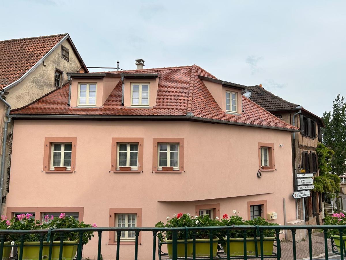 Gite Ma Maison Kintzheim Bagian luar foto