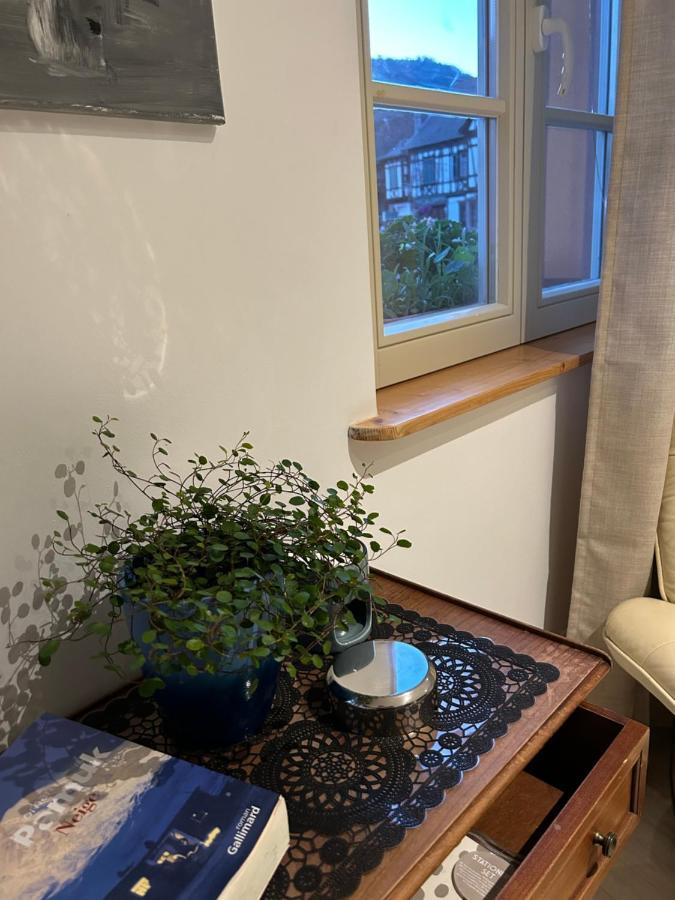 Gite Ma Maison Kintzheim Bagian luar foto