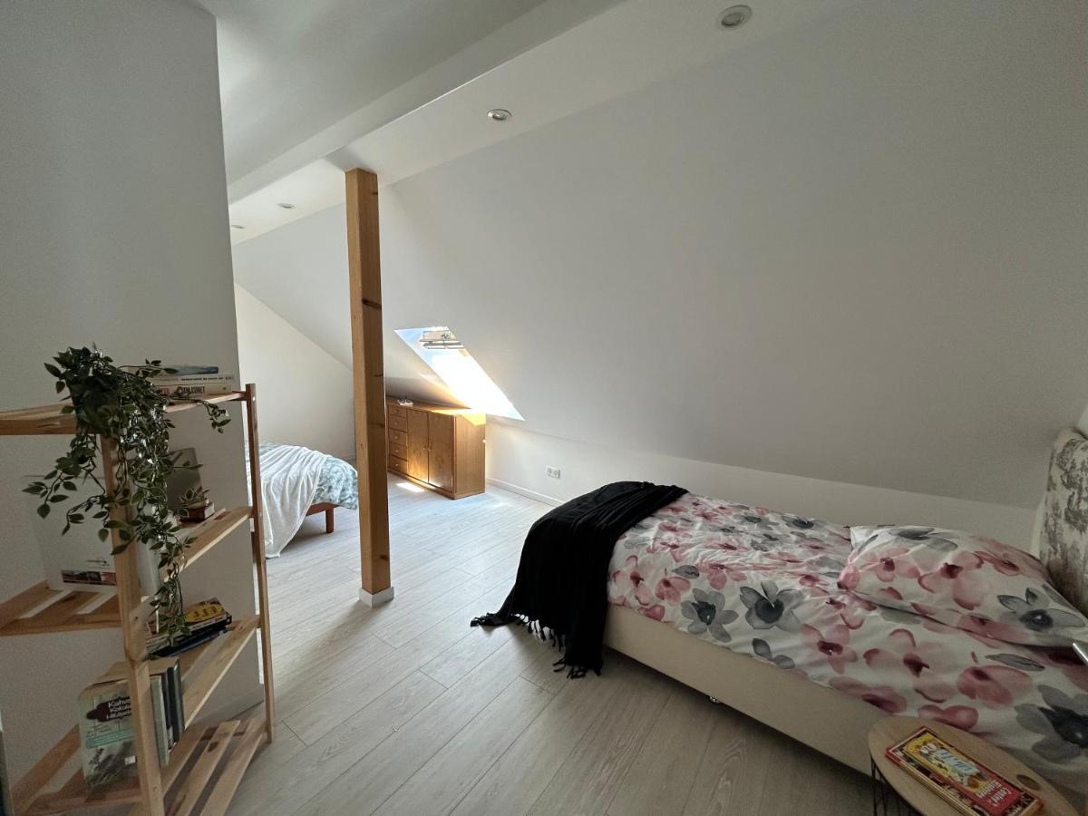 Gite Ma Maison Kintzheim Bagian luar foto